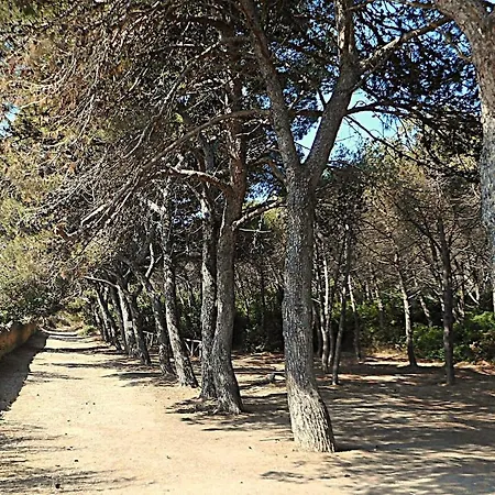 Casa Petronia - Al Centro Di Porto Torres